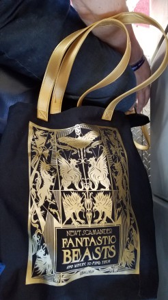 Front of the tote bag